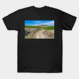 The path to Carnllundain on Ramsey Island T-Shirt